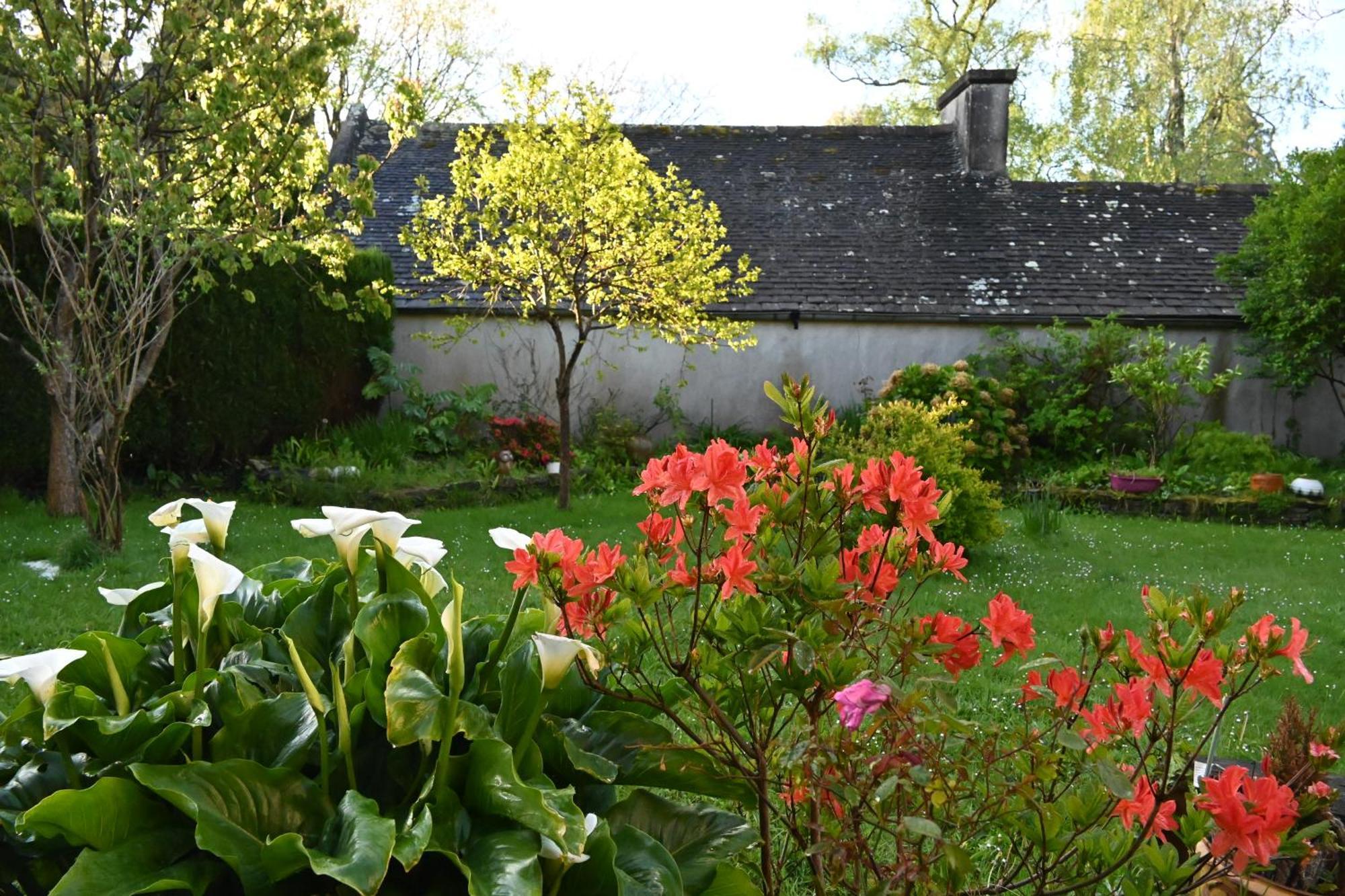 Apartament Jardin Madeleine Morlaix Zewnętrze zdjęcie